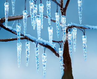 40 Solar-Powered Icicle Lights