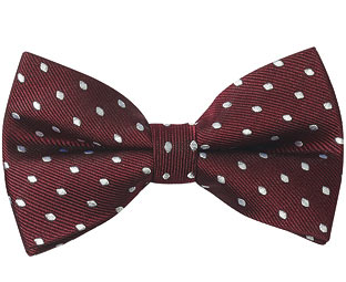 Pure Silk Bow Ties