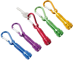 Mini LED Torches (5) 