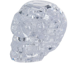 3D Skull Puzzle 