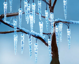 40 Solar-Powered Icicle Lights 