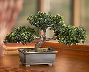 Artificial Bonsai Tree 