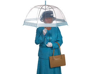 Transparent Umbrellas (3) 