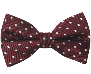 Pure Silk Bow Ties 
