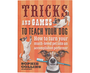 Tricks and Games to Teach Your Dog 