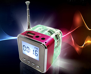Micro Radio/Speaker 
