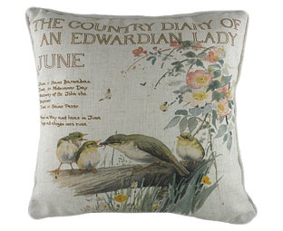 Months Of The Year Cushions 
