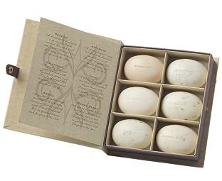 Herbarium Soap Collection 