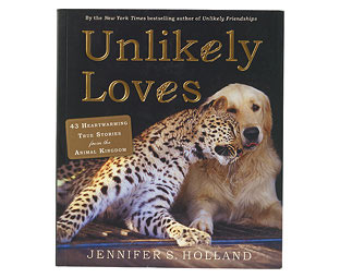 Unlikely Loves Book 