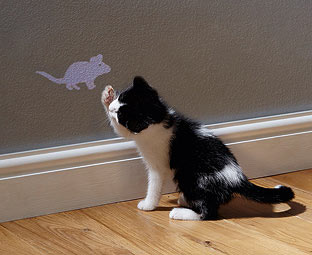 LED Cat Toy 