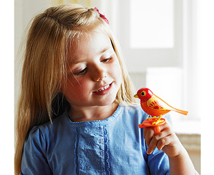DigiBird 