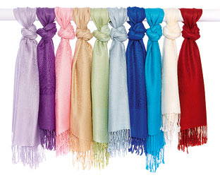 Pashmina Shawl 