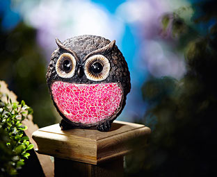 Colour-Changing Owl Solar Light 