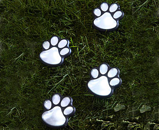 Paw Print Solar Lights (4) 