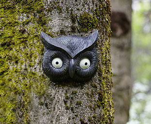 Owl Face Tree Decoration 