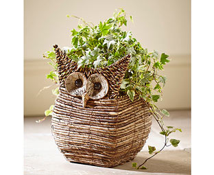 Rattan Owl Planter 