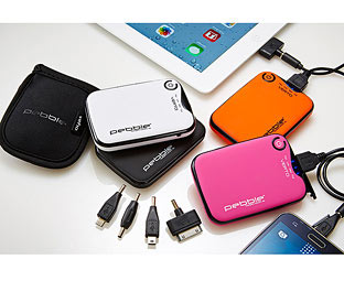 Pebble  Portable Charger 