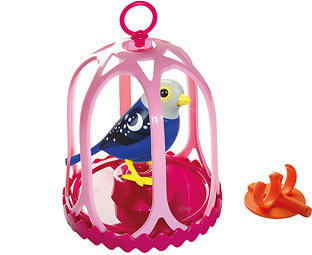 DigiBird  & Birdcage 