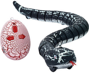 Remote Controlled Snake 