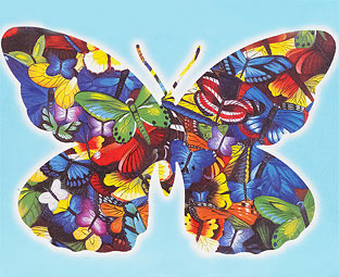Butterfly Jigsaw Puzzle 