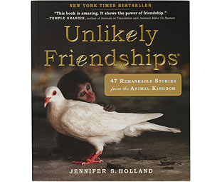 Unlikely Books 