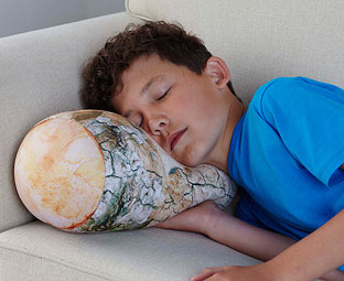 Log Cushion 